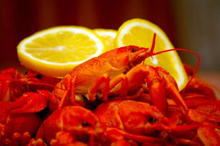 Boiled crabs with lemonの写真素材