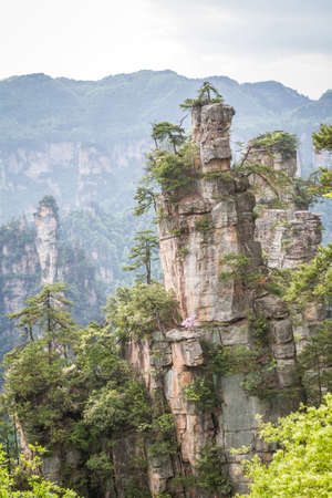 China, Hunan, Zhangjiajie National Park (Park of Avatar), karst pillarsの写真素材