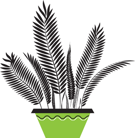 houseplant in the green spotのイラスト素材