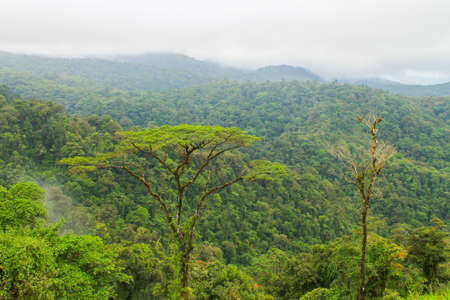 mountain jungle in central america