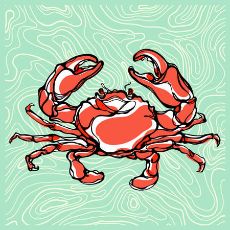 Colorful illustration of crabのイラスト素材