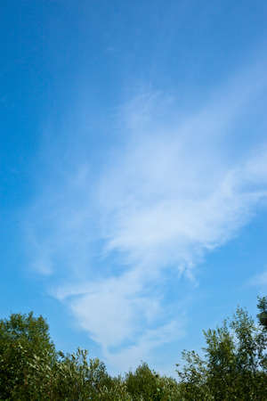 the head against the dark blue sky a cloudの写真素材