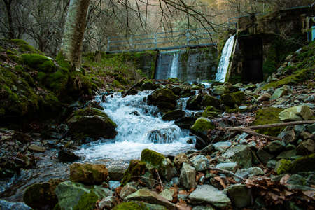 A wild waterfall in the natureの写真素材