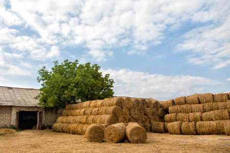 Many bales of hay stacked in many rows.の写真素材