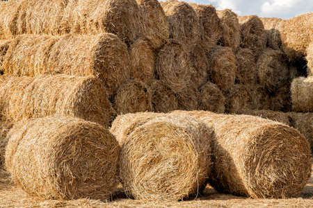 Many bales of hay stacked in many rows.