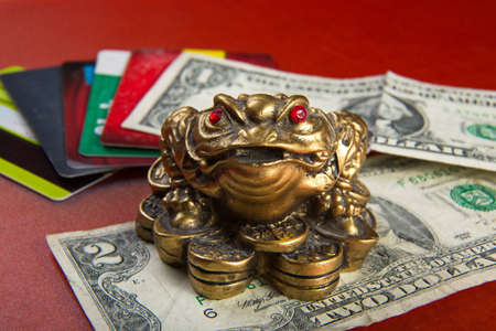 Money frog sits on a background of money, wallet and credit cards. Money toad with red eyes.の写真素材