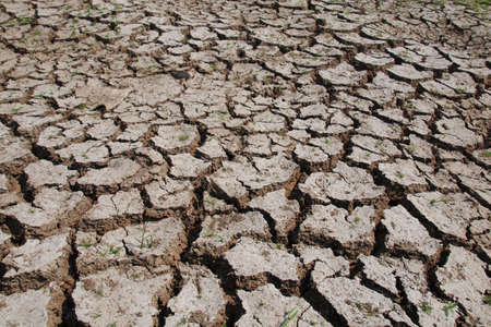 dry and crack landの写真素材