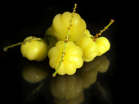Star gooseberryの写真素材