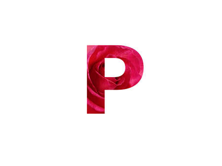 Letter P of the alphabet made with a photo of a red rose, isolated on a white backgroundの写真素材