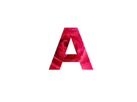 Letter A of the alphabet made with a photo of a red rose, isolated on a white backgroundの写真素材