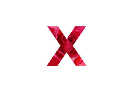 Letter X of the alphabet made with a photo of a red rose, isolated on a white backgroundの写真素材
