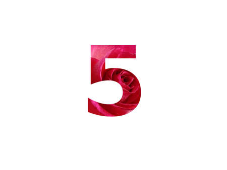 Number 5 of the alphabet made with a photo of a red rose, isolated on a white backgroundの写真素材