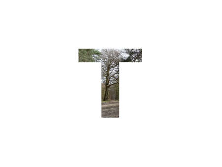 letter T of the alphabet made with a sand path in the forest, with the colors green, yellow, and white, isolated on white backgroundの写真素材