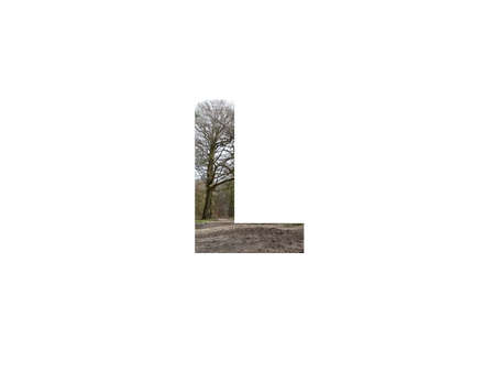 letter L of the alphabet made with a sand path in the forest, with the colors green, yellow, and white, isolated on white backgroundの写真素材