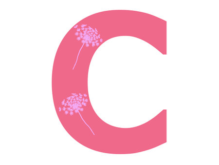 Letter C of the alphabet made with pink flower silhouette in a dark pink background, the letter is isolated on a white backgroundの写真素材