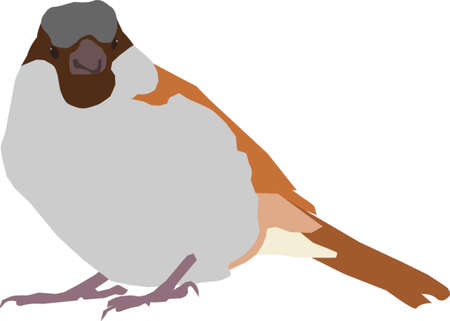 cute house sparrow cartoon, vector sticker, with the colors; brown, yellow, gray and black, isolated on a white backgroundのイラスト素材