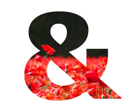 And sign of the alphabet made with a red poppy sticking out above the field of poppies with a dark background, isolated on a white backgroundの写真素材