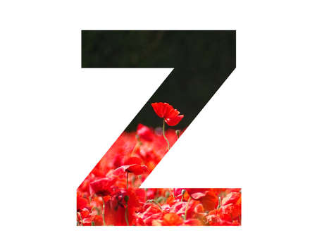 letter Z of the alphabet made with a red poppy sticking out above the field of poppies with a dark...