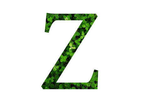 Letter Z of the alphabet made with green leaf of a clover field. made with color greenの写真素材