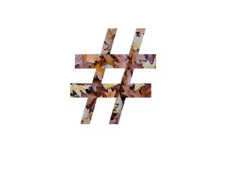 hash tag of the alphabet made with autumn brown oak leaves, isolated on a white backgroundの写真素材