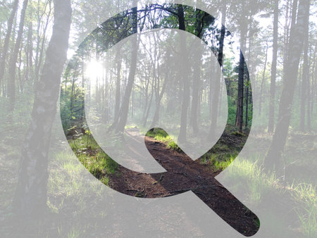 letter Q of the alphabet made with sunlight in the forest, isolated with transparent background