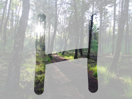 letter H of the alphabet made with sunlight in the forest, isolated with transparent backgroundの写真素材