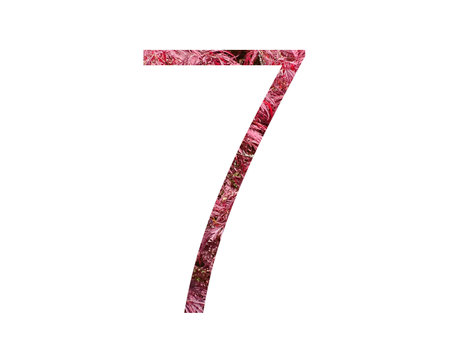 Number 7 of the alphabet made with red leaves, isolated on a white background
