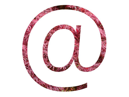 mail sign, at sign of the alphabet made with red leaves, isolated on a white backgroundの写真素材