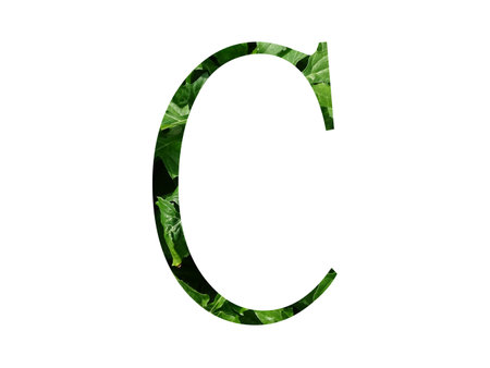 Letter C of the alphabet made with fresh green leaf, isolated on a white backgroundの写真素材