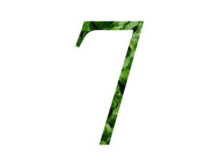 Number 7 of the alphabet made with fresh green leaf, isolated on a white backgroundの写真素材