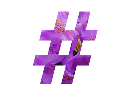 Hashtag of the alphabet made with pink flower of Rhododendron, isolated on a white background