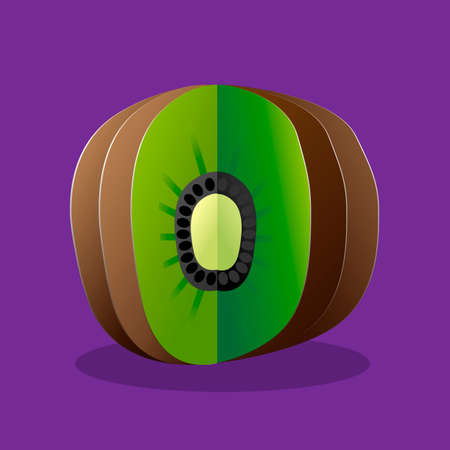 Beautiful vector illustration. Bright kiwiのイラスト素材