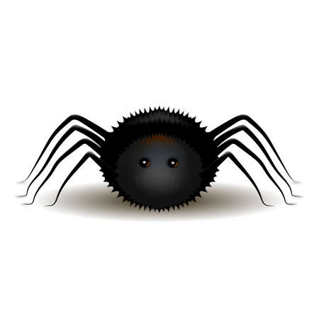 Beautiful vector illustration. Black fluffy witch spider. Halloweenのイラスト素材
