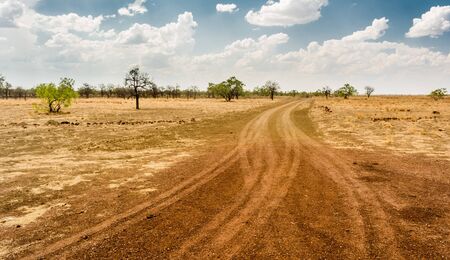 Tracks towards a cattle station on the Barkly Tablelands, Northern Territory. Huge cattle stations are the only form of civilisation out here, dotting this barren landscape.の写真素材