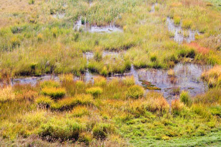 marshlandの写真素材