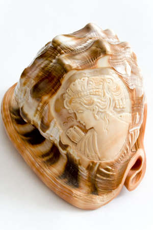 cockle-shell with incised antique faceの写真素材