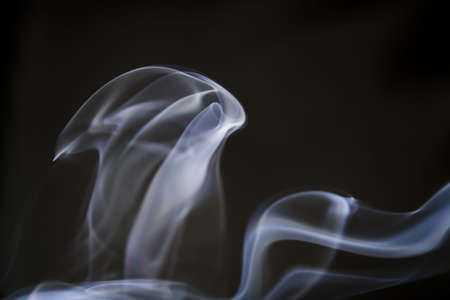 puff of aroma smoke on a dark backgroundの写真素材