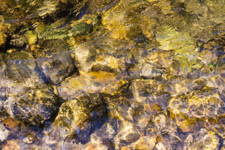 background of river bottomの写真素材