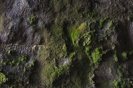 backgroud of ashlar masonry overgrown with mosses because of moistureの写真素材