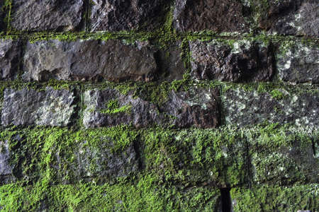 backgroud of ashlar masonry covered carbon-black and overgrown with mosses because of moistureの写真素材