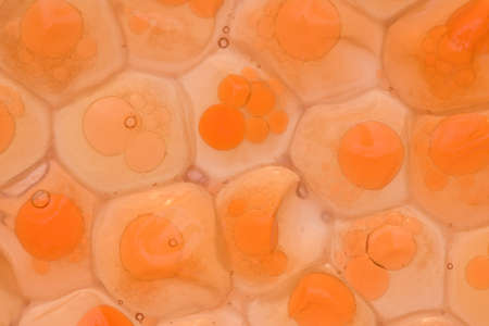 Background of macro of red soft caviarの写真素材