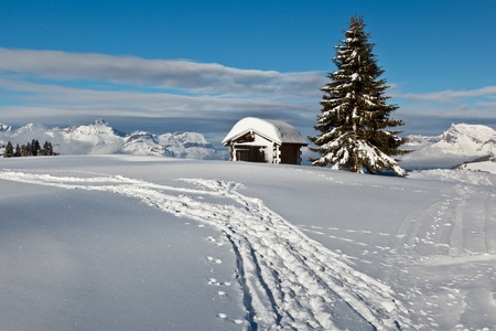 Small Hut and Fir Tree on the Top of the Mountain in French Alpsの写真素材