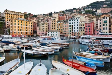 Many Boats in Marina of Camogly in Italyの写真素材