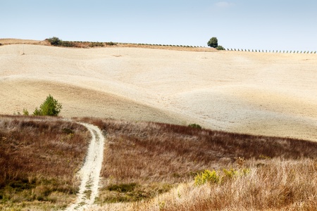 Scenic Road in Tuscan Countryside near Montalcino, Tuscany, Italyの写真素材