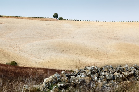 Tuscan Country near Montalcino, Tuscany, Italyの写真素材