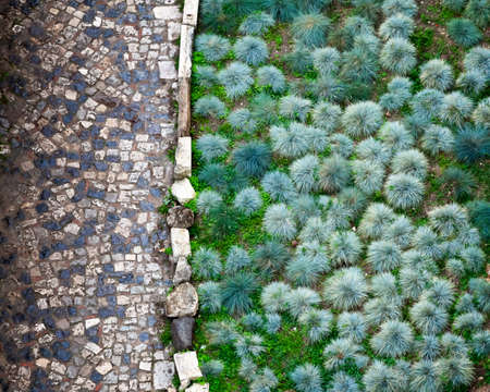 Cobbled Road and Green Plants in San Giorgio Fortress in Lisbon, Portugalのeditorial素材
