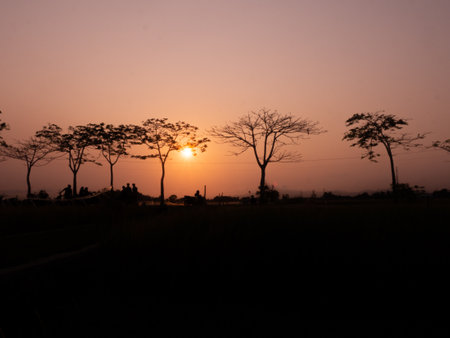 Silhouette of acacia trees at sunset in the savannah, silhouette of the view when the sun sets, trees and people passing byの写真素材