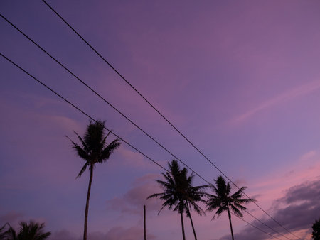 Silhouette of coconut tree and power line with twilight sky background
