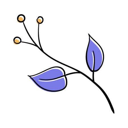 Hand drawn plant leaf illustration for decoration and ornament design.のイラスト素材