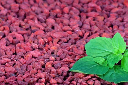 Red goji berries with green mint leavesの写真素材